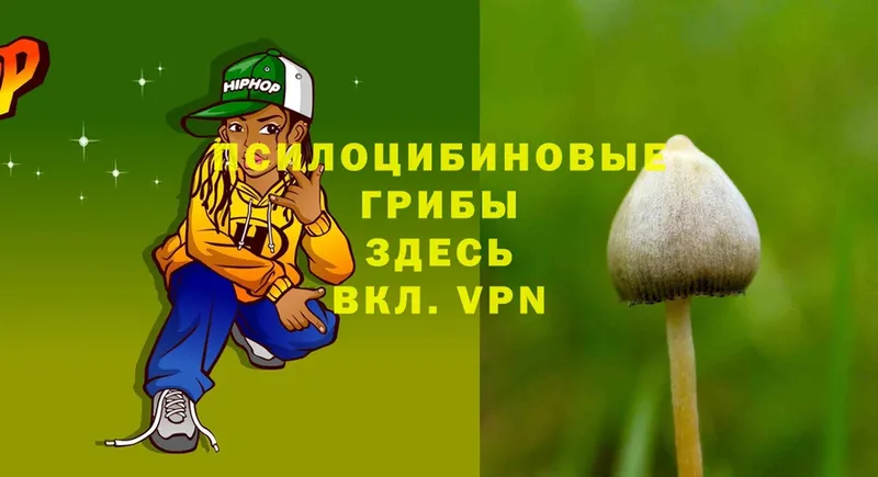 блэк спрут онион  Катайск  Галлюциногенные грибы Cubensis 